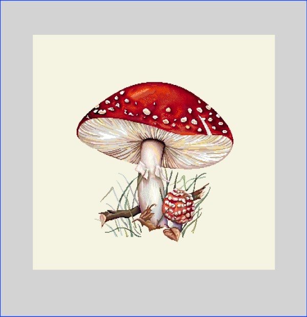 Ptextil - Жакардова декоративна калъфка Гъба 45х45 см. Жакардова декоративна калъфка Гъба 45х45 см. - Image 2